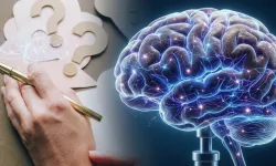 Beynimizde bir "karar merkezi" yok mu? Bilim dünyasının ezberini bozan araştırma