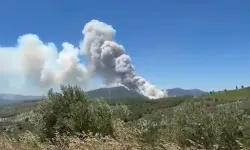 Manisa Akhisar'da orman yangını alarmı: Alevlere müdahale ediliyor