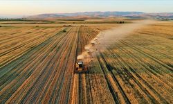 Gıda fiyatlarında El Nino tehlikesi: Yeni bir kriz mi kapıda?