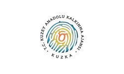 Kuzey Anadolu Kalkınma Ajansı 4 uzman personel arıyor! Başvuru şartları ve tarihleri neler?