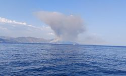 Marmaris Kabakargı Koyu'nda orman yangını: Karadan ulaşım güç, alevlere havadan müdahale başlatıldı