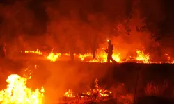Orman yangınlarında tehlike geçti mi? Meteoroloji'den öğleden sonra için korkutan uyarı!