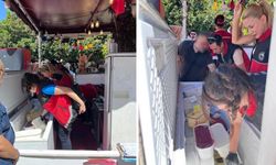 550 TL'ye dondurma satışı pahalıya patladı: İşletme kapatıldı!
