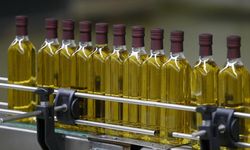 ABD’den Türk zeytin-zeytinyağı sektörüne darbe