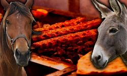 Gıdada rezaletin resmi: Dana eti diye at ve eşek eti yedirmişler! İşte o marka ve restoranlar
