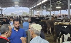 Aydın’da hayvan pazarlarında sıkı denetim: Küpesiz hayvana geçit yok