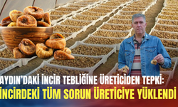 Aydın’daki incir tebliğine üreticiden tepki: İncirdeki tüm sorun üreticiye yüklendi