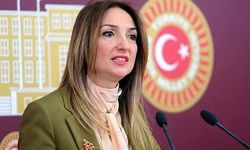 Aylin Nazlıaka kimdir, kaç yaşında, nereli? CHP’de kesin ihraç talebi gündemde!