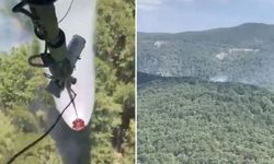 Balıkesir Edremit'te orman yangını