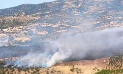Balıkesir'de alevler ormana sıçradı: Sındırgı'daki yangına havadan ve karadan müdahale