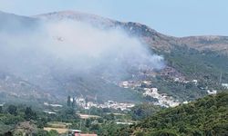 Bir kıvılcım yetmişti: Balıkesir'deki yangında bir kişi gözaltına alındı!
