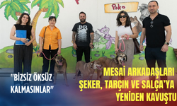 "Bizsiz öksüz kalmasınlar": Mesai arkadaşları Şeker, Tarçın ve Salça’ya yeniden kavuştu