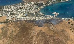 Bodrum Akyarlar'daki orman yangını kontrol altına alındı