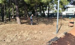 Bodrum’da yangın riskine karşı ot temizliği