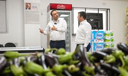 Bornova’nın Dayanışma Tarlası'nda ilk hasat: Tarladan Kent Market’e