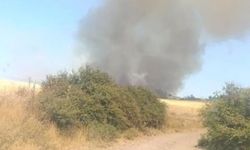 Çanakkale Ezine’de yangın ormana sıçradı