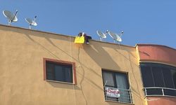 Emlakçı tarafından dolandırılan kadın yaşamına son vermek istedi
