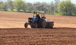 Tarımsal destek ödemeleri hesaplara yatırılacak