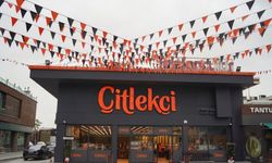 Çitlekçi kaç lot verir, halka arz katılım endeksine uygun mu? (CITAS) talep toplama tarihleri ve lot dağılımı