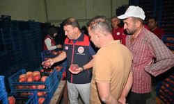 Çivril’de şeftalinin üretimden pazarlamaya yolculuğu incelendi