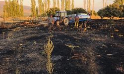 Denizli Çivril’de korkutan yangın! 5 hektar alan kül oldu