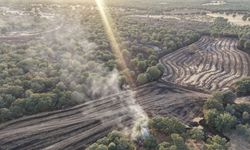 Denizli'nin Çivril ilçesinde arazi yangını