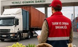 Denizli’ye ithalatta önemli yetki!
