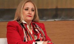 Hollanda Büyükelçiliği'ne atanan Fatma Ceren Yazgan kimdir?