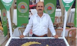 "Üzüm fiyatları hasat zamanı değil önceden açıklanmalı"
