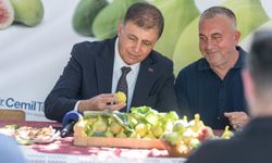 İncir üreticilerine 10 bin kerevet