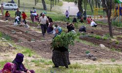 Kadınlardan toprağa hayat veren dayanışma: Mahalle Bostanları'nda yaz bereketi!