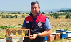 Kovan denetiminde bulunan kalp şeklindeki petek görenleri şaşırttı