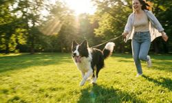 Köpeğinizi dışarı çıkarırken bu hatayı yapmayın! Araştırma açıkladı: İdeal yürüyüş kaç dakika olmalı?