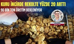 Kuru incirde rekolte yüzde 20 arttı: 90 bin ton üretim bekleniyor