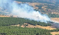 Kütahya'daki yangın kontrol altına alındı