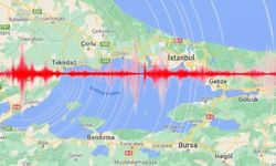 Marmara'da 50'den fazla sarsıntı: Büyük İstanbul depremini tetikler mi? Uzmanlar ne dedi?