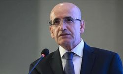 Bakan Mehmet Şimşek'ten vergi denetimi açıklaması