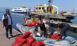 İzmir'de kaçak midye avcılığına darbe: 560 kilo midye geri bırakıldı