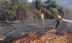 Muğla Milas'taki yangın kontrol altına alındı