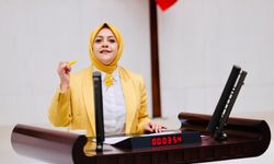 Milletvekili Ün, Denizli’nin tren isyanını meclise taşıdı