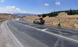 Trafikteki araçlar neden mor renge boyandı?