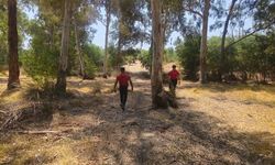 Muğla'da kayıp aranıyor