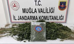 Muğla'da zehir tacirlerine darbe vuruldu