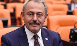Milletvekili Tin: Yükseköğretimde yeni bir dönem başlıyor!