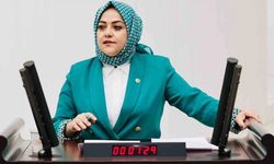 Sema Silkin Ün'den 'İklim yasası' tepkisi: Bunun adı pazar kavgasıdır