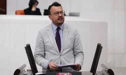 Arpacı’dan çocuk suçluluğu düzenlemesine tepki