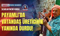 Sıcaklar inciri vurdu: Payamlı’da vatandaş üreticinin yanında durdu