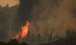 Alevler Washington’ı esir aldı: 60 bin kişi elektriksiz, hastaneler boşaltılıyor