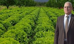 ZMO Başkanı’ndan çiğ sebze uyarısı: Sirkeli su bile yetmeyebilir
