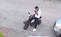 Vicdanlar bir kez daha yaralandı: Yavru kediyi boğarak öldürdü
